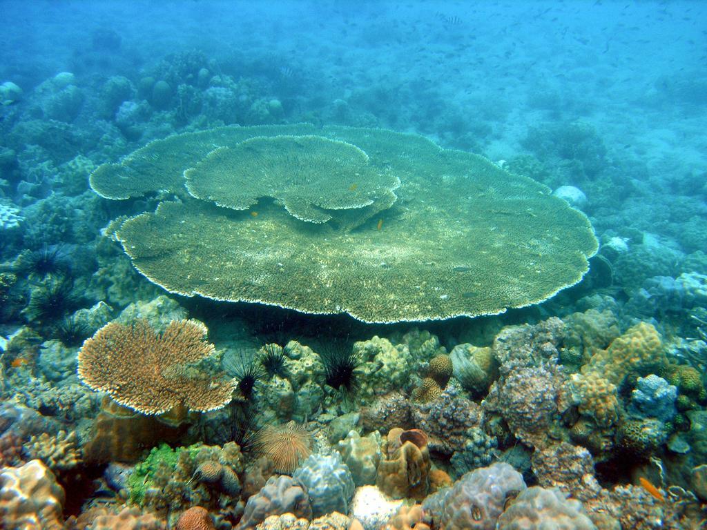 Koh Talu Island Resort Bang Saphan Noi Zewnętrze zdjęcie